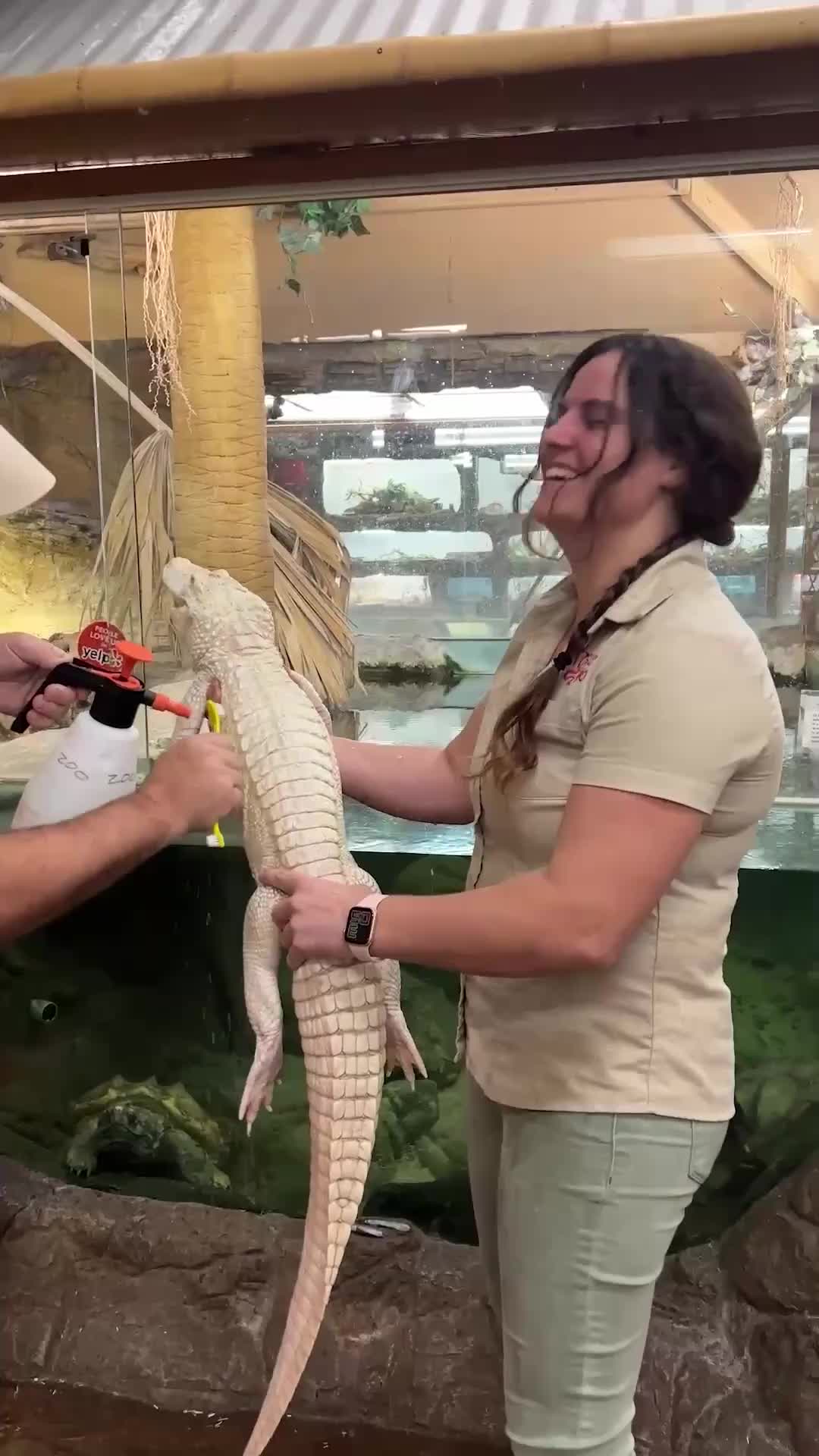 @The Reptile Zoo