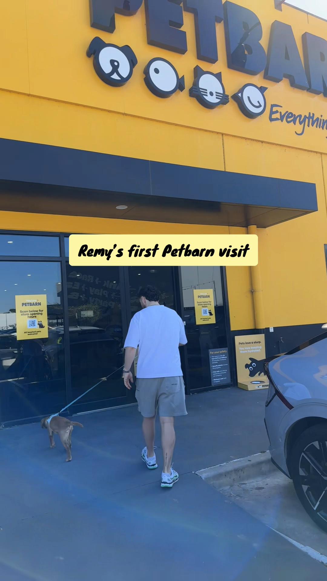 @Remy Boy🐾✨