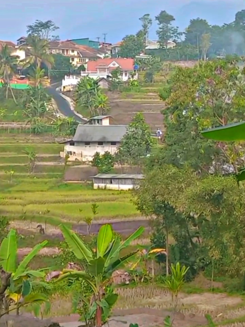 @PUTRA PASUNDAN