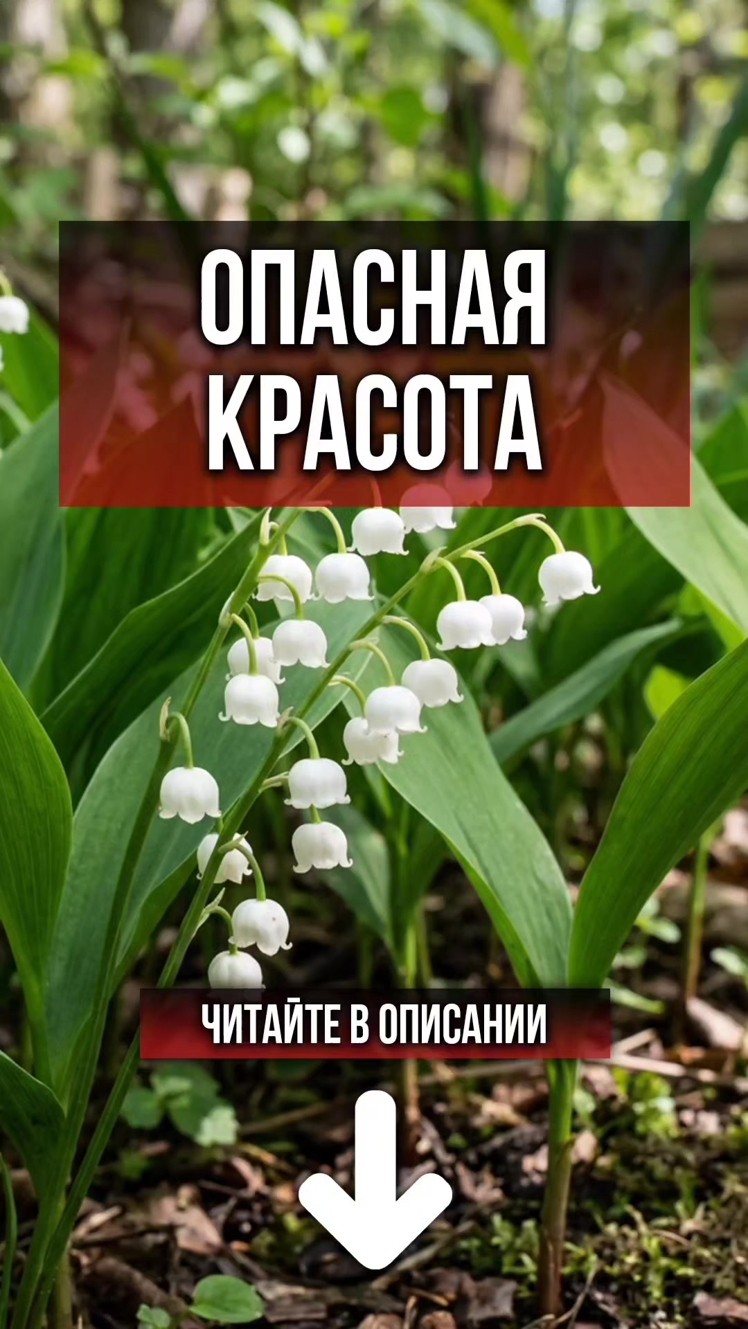 @ЗОЖнавигатор