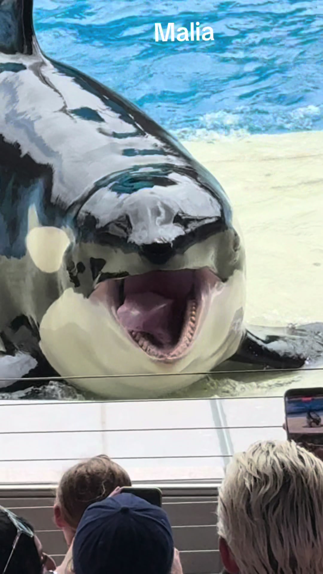 @OlivierSeaworld