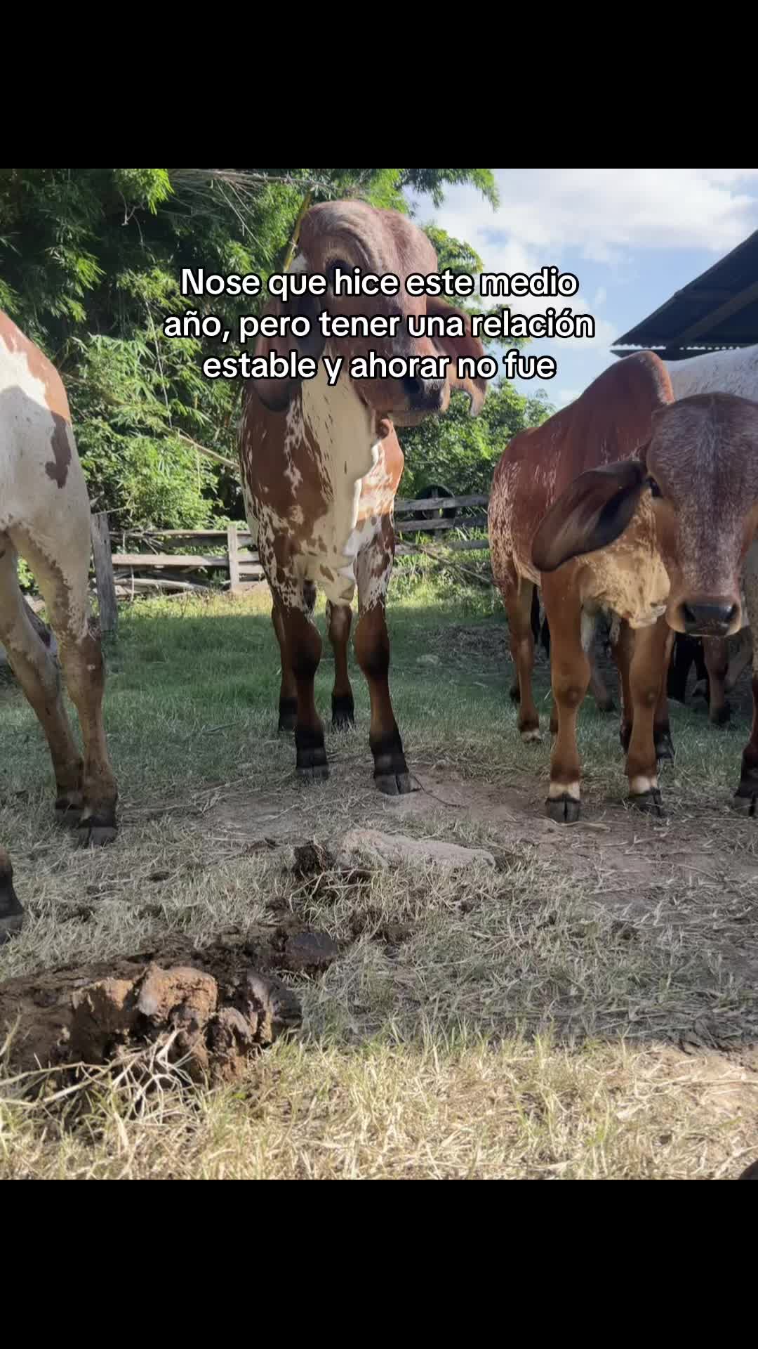 @Javier Acevedo