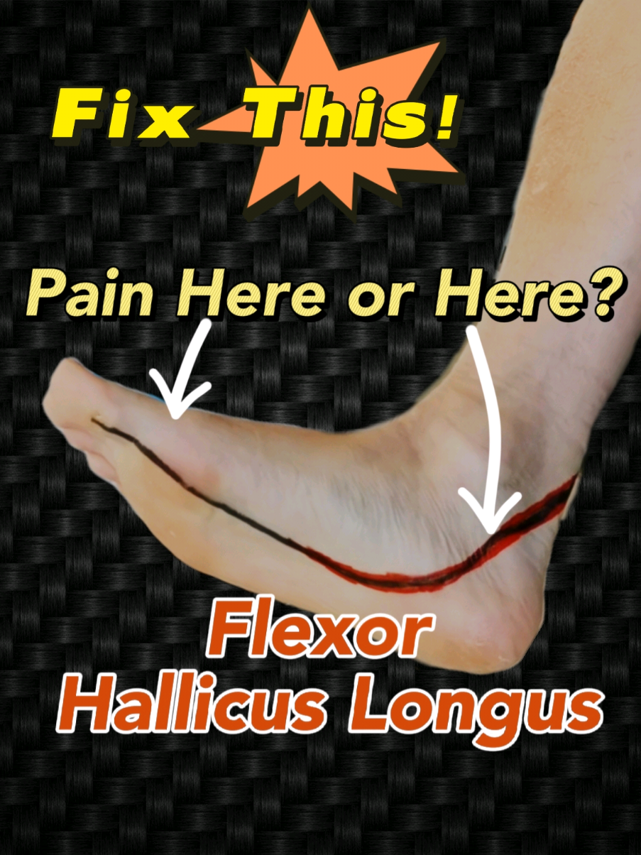 @PhysioBarn