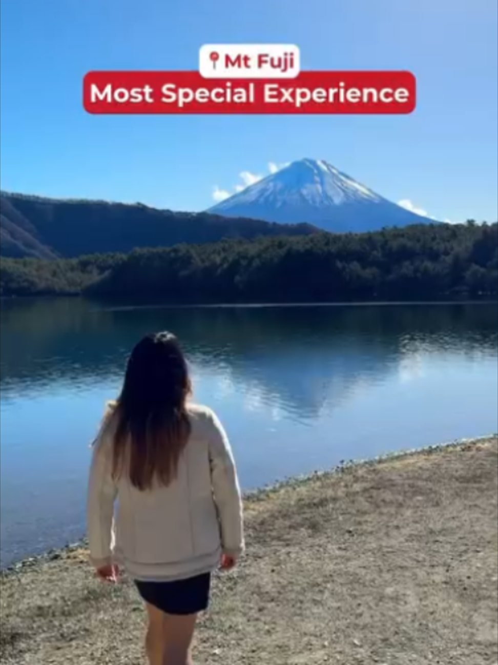 @Flip Japan | Travel Agency🇯🇵