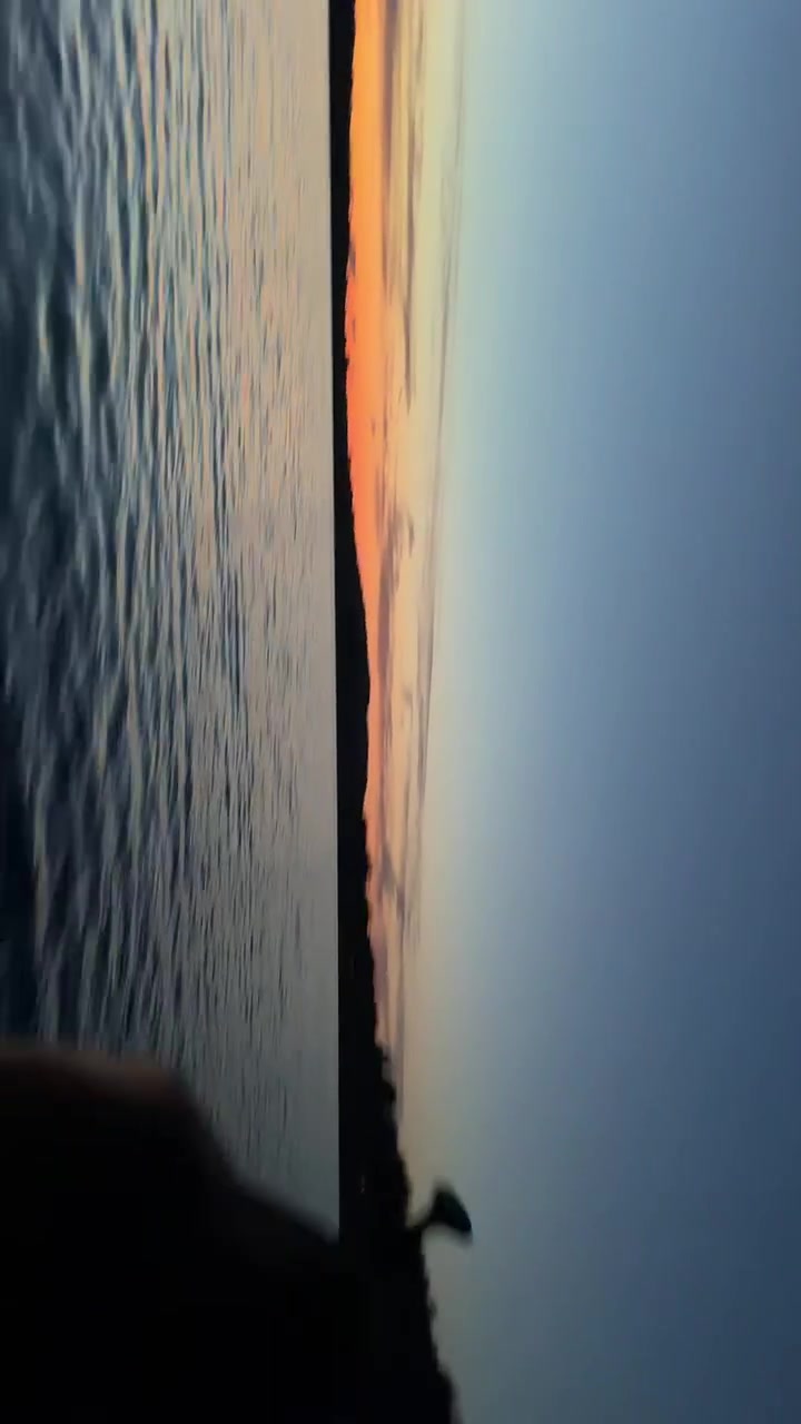 @vidhigottiktok