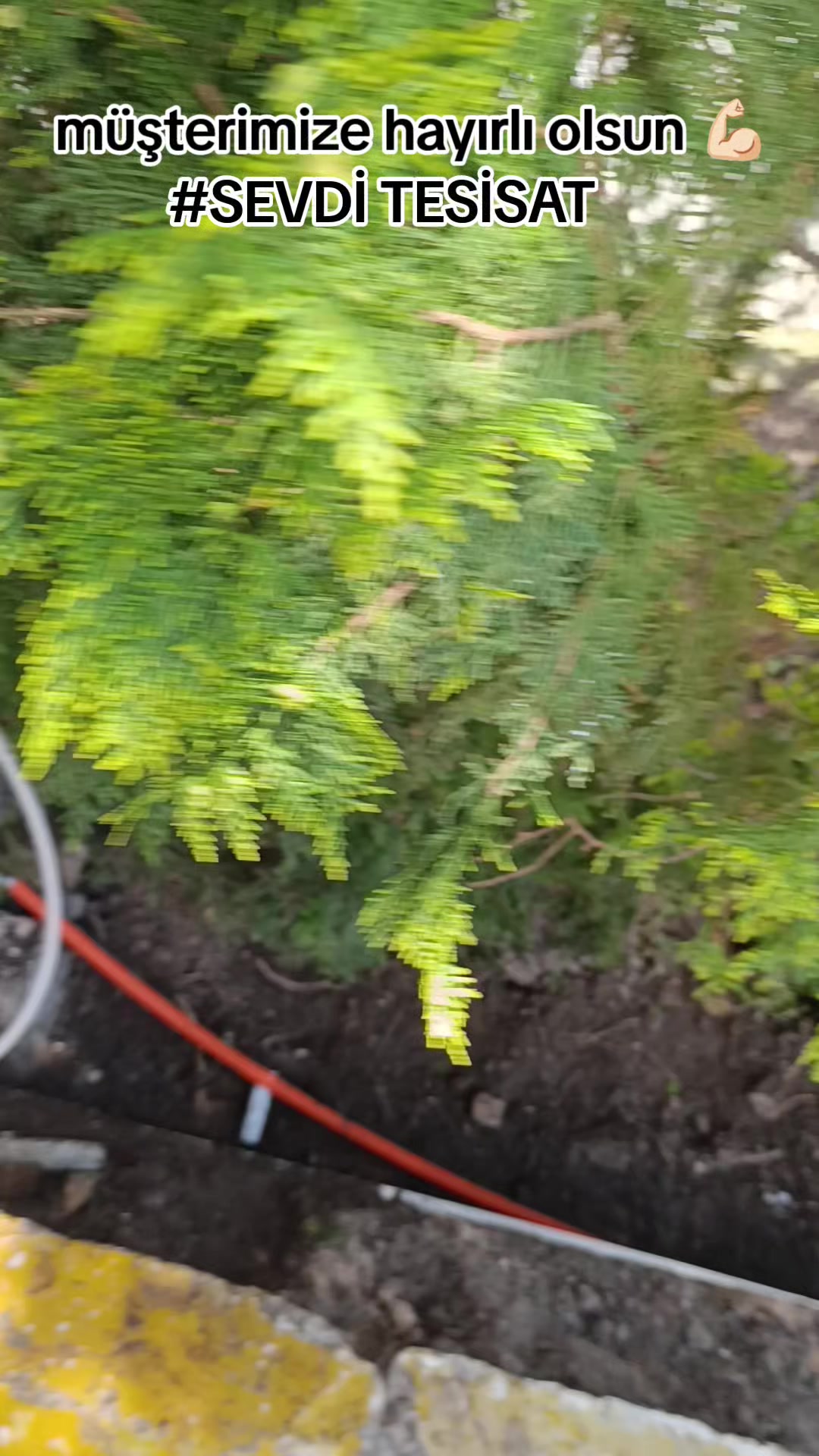 @Lokman Sevdi