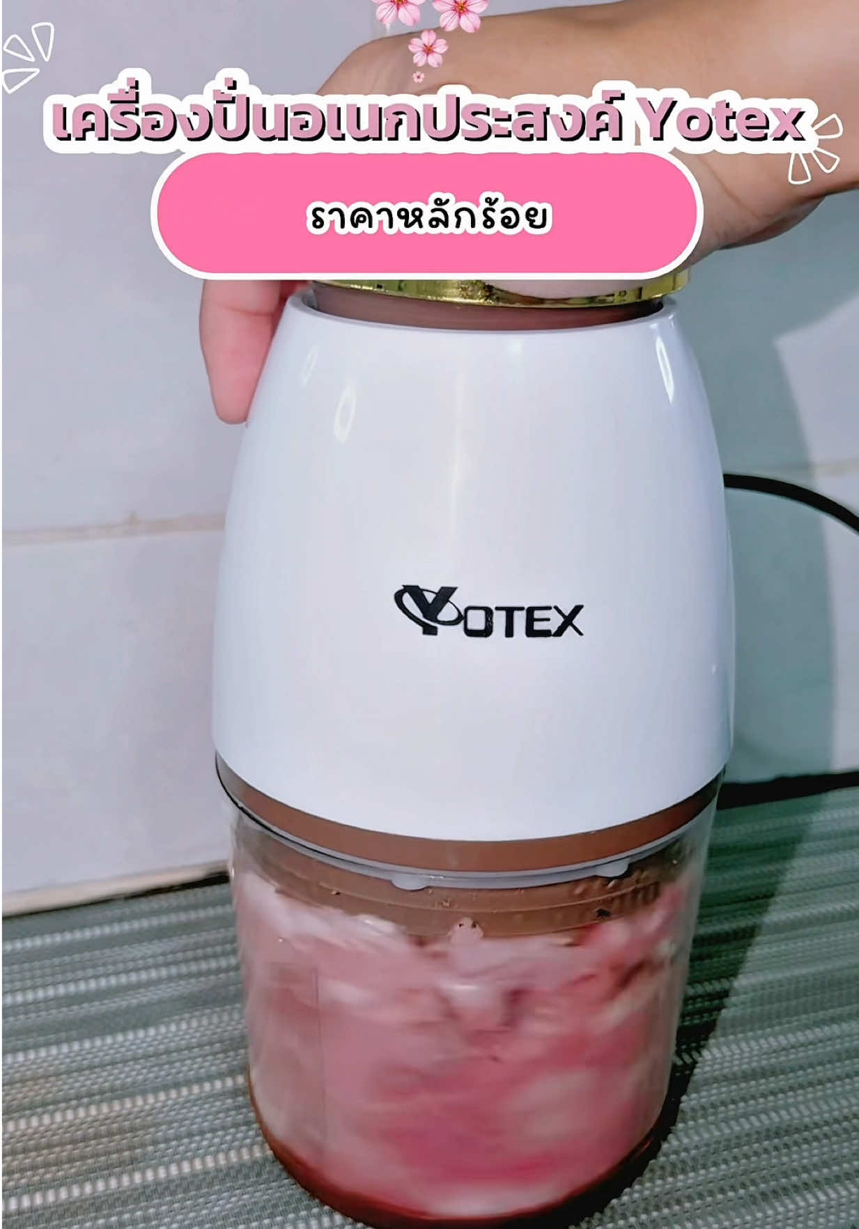 @แมวพารีวิว