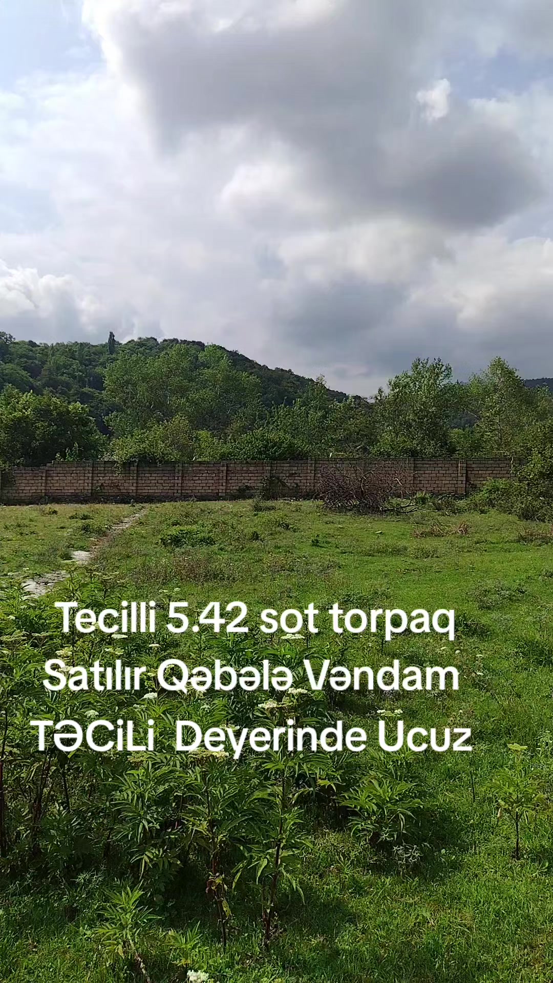 @Salam Salam