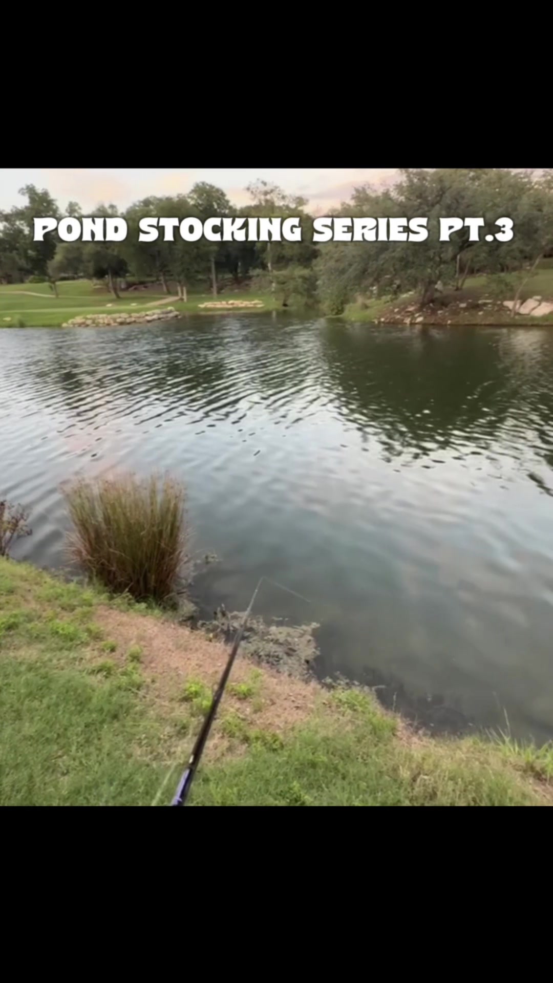 @Unemployed Fishing