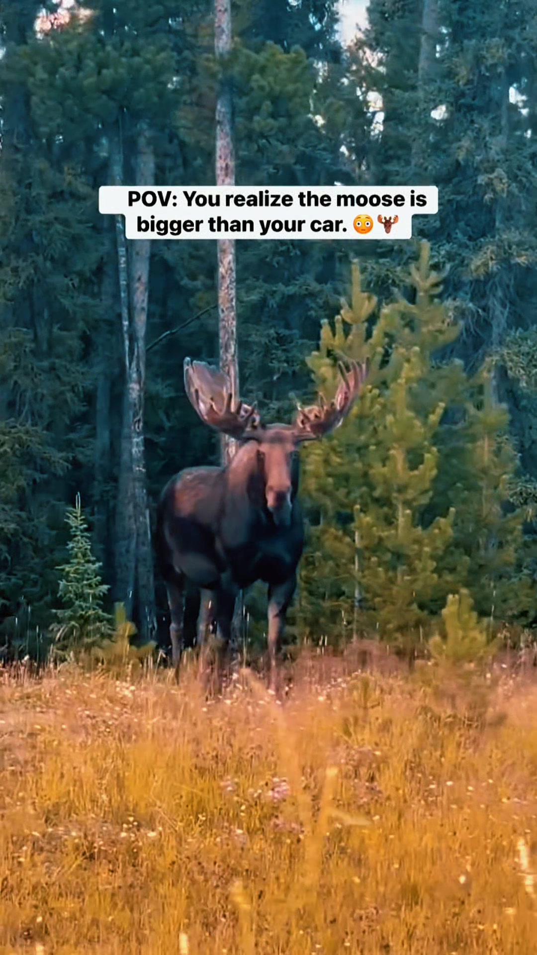 @LotusHouseCollective