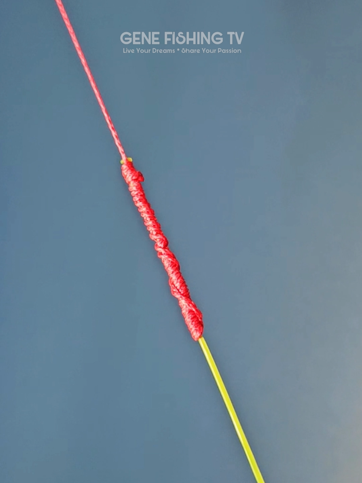 @Gene Fishing Tv