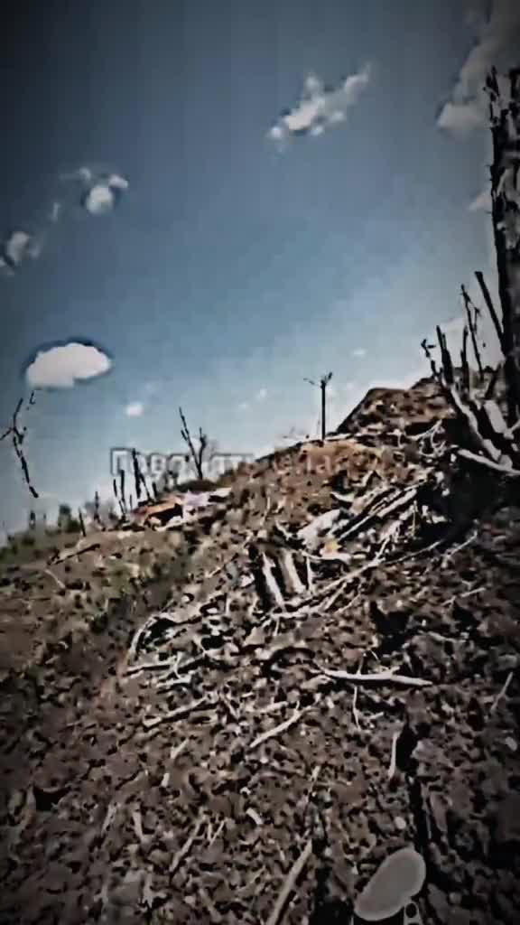 @🕊позывной могильщик🕊