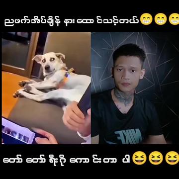@🥴??...P...k...??🥴 (Official)
