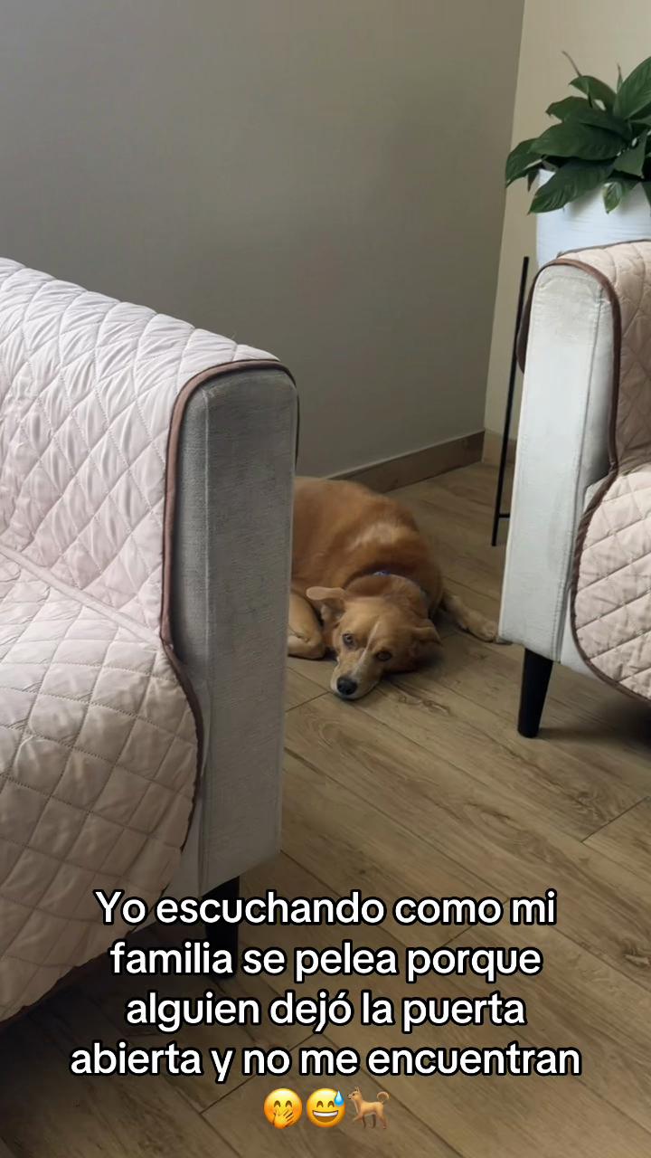 @Diario de Donny🐕 y mami👩🏻