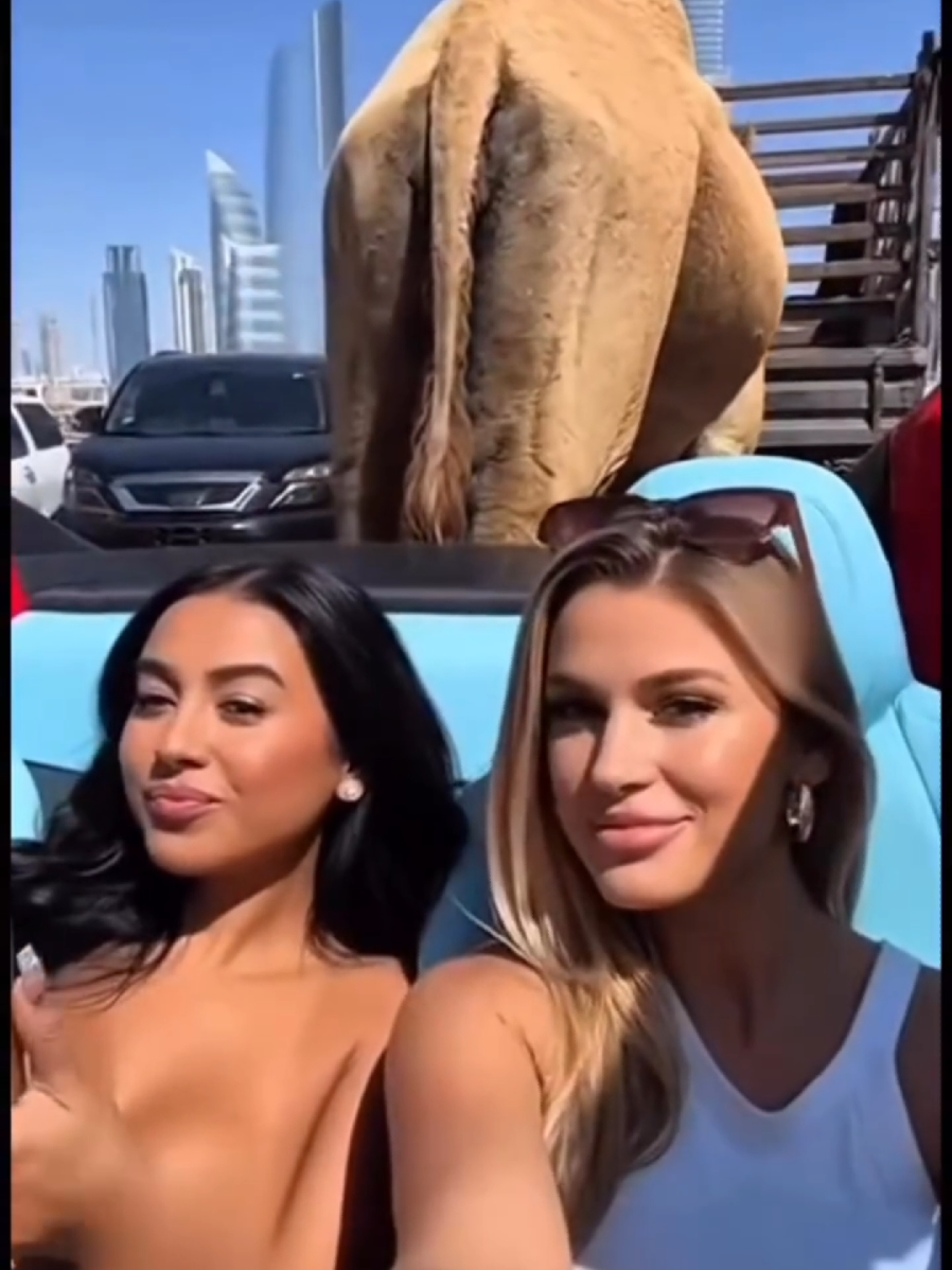 @OneMoreTime