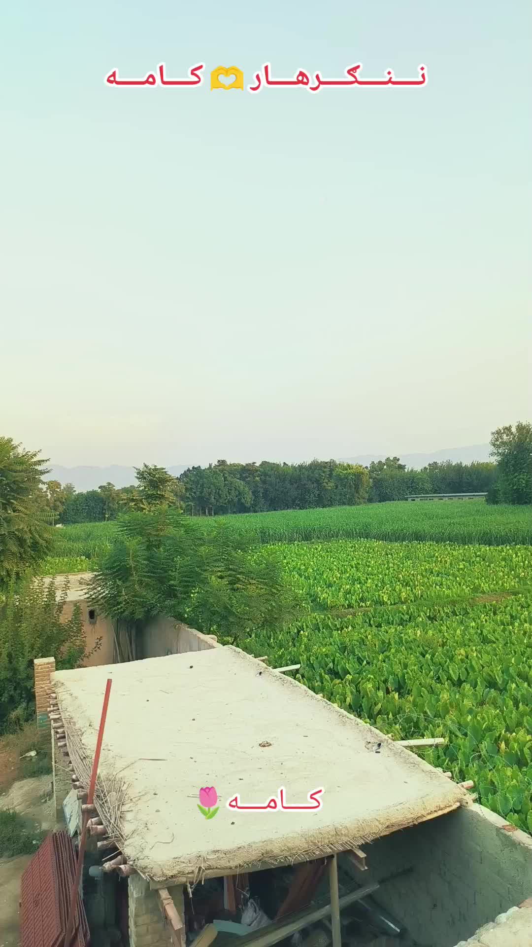 @🇦🇫꧁༒☬itx کاموال☬༒꧂