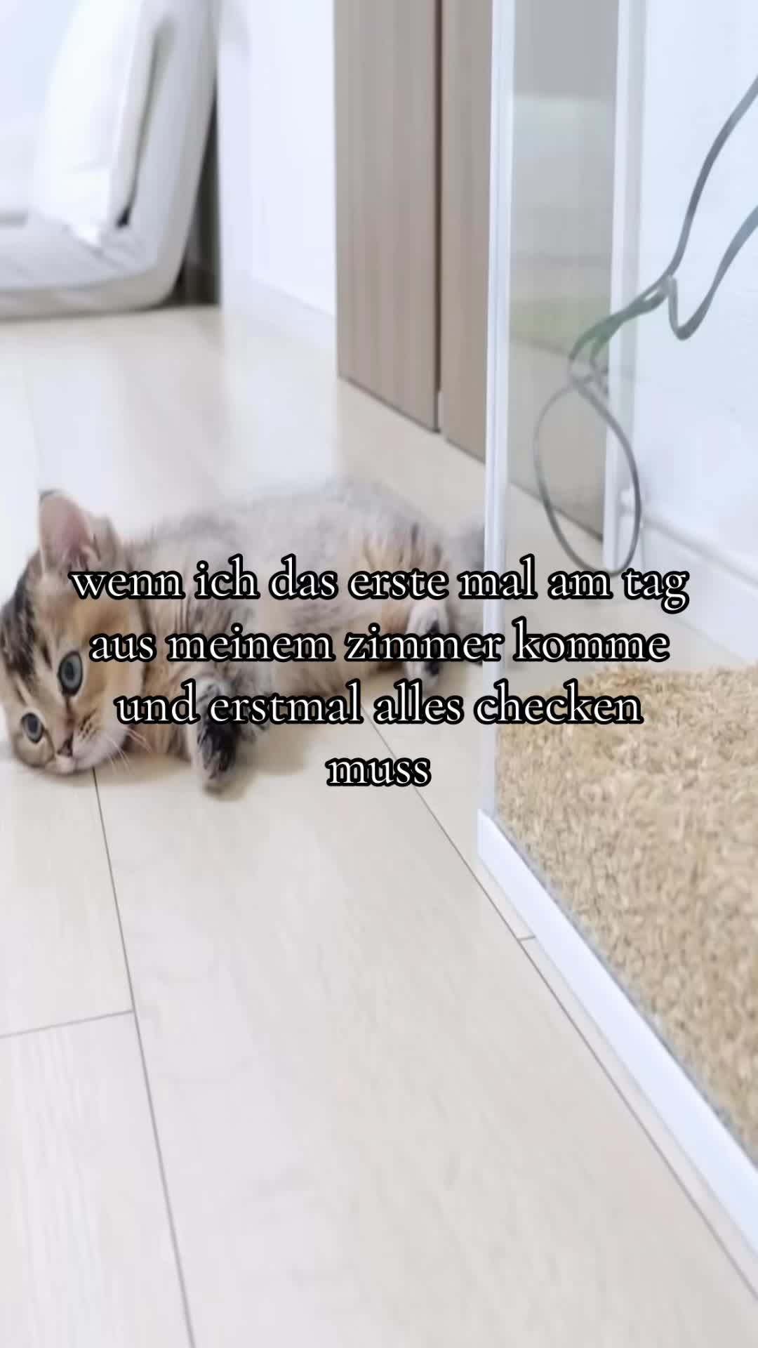 @Eierkopfsalat