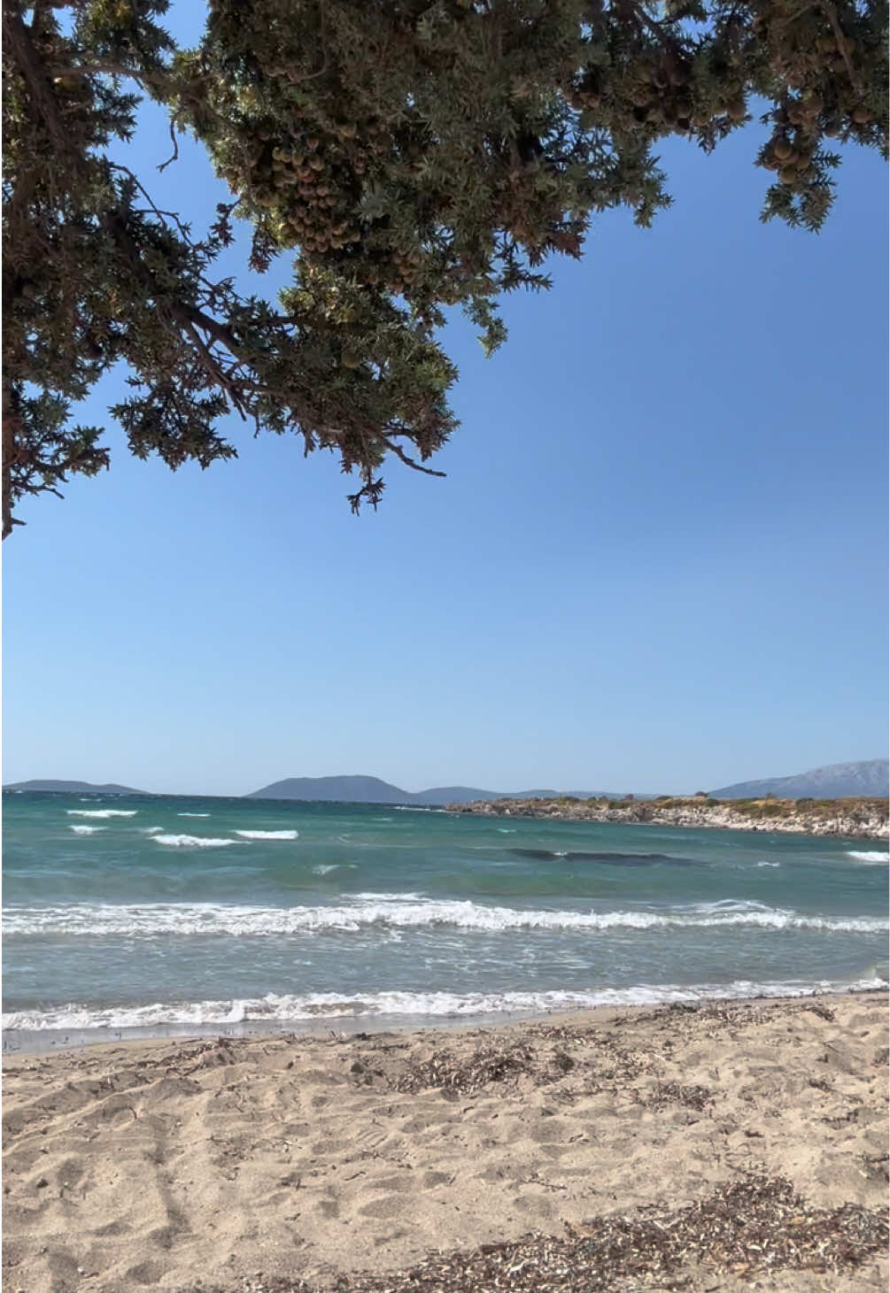 @Doğa