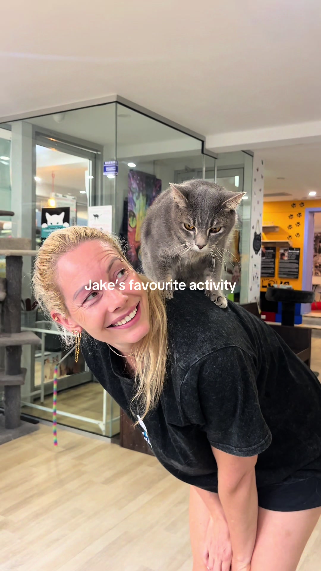 @crazycatcafe