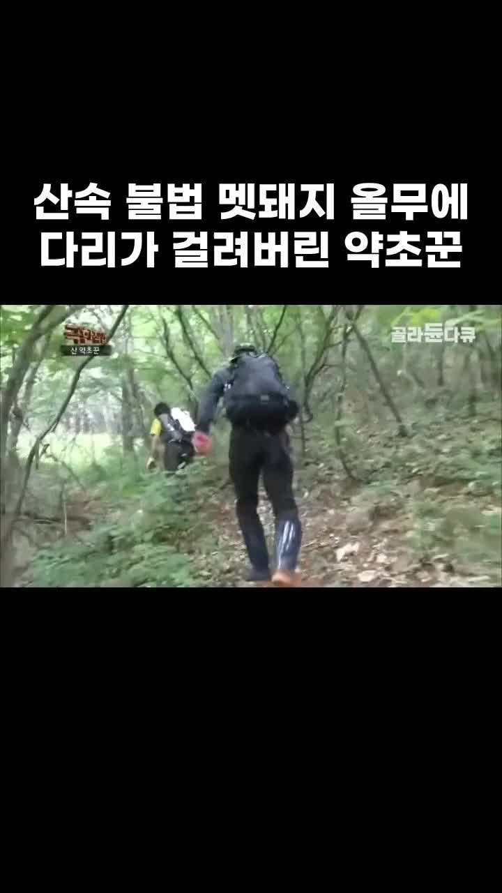 @EBS 다큐