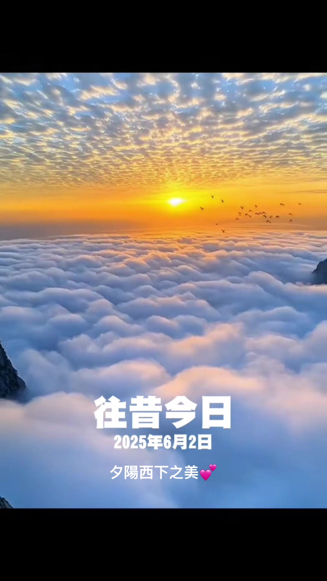 @💫金心💎
