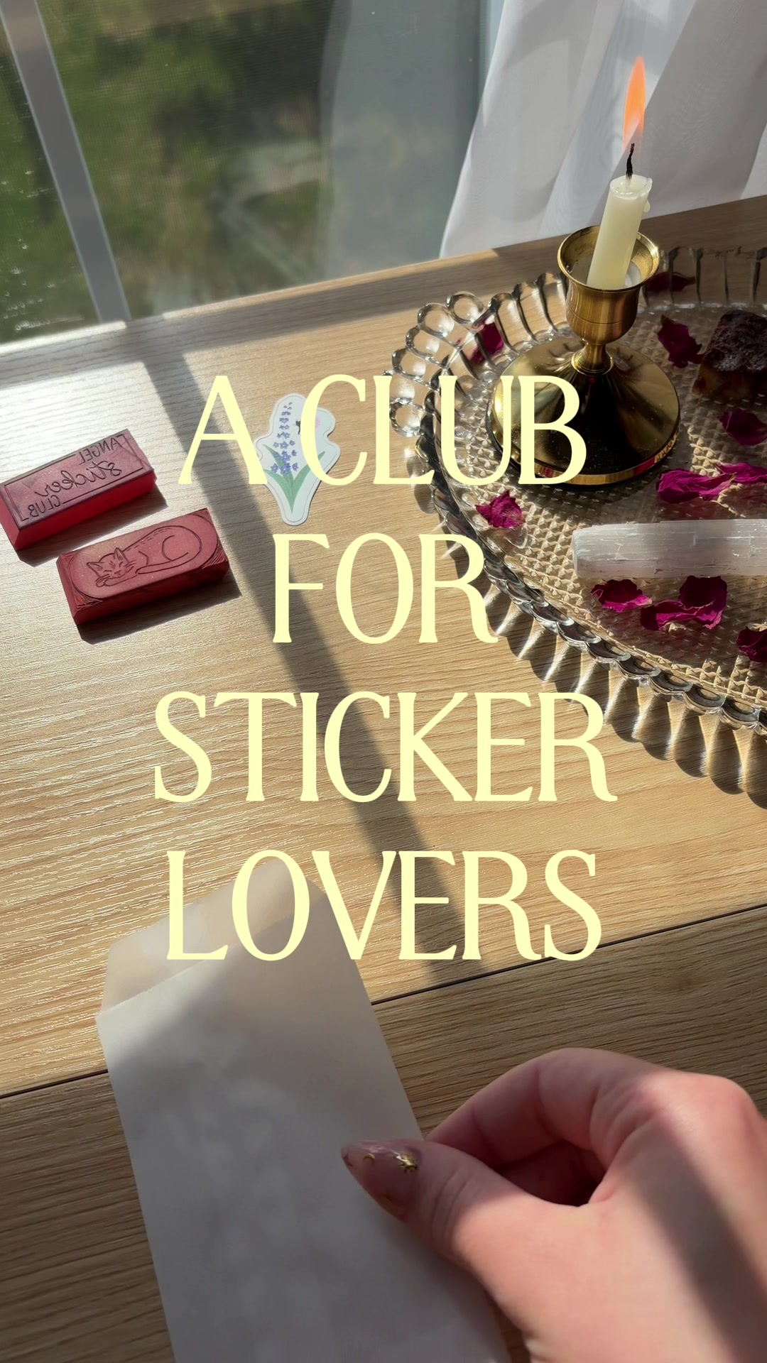@julia ♡ the angelkittyclub