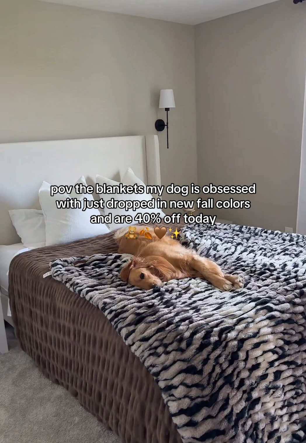 @novathegoldenn