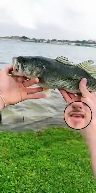 @PickleFishin
