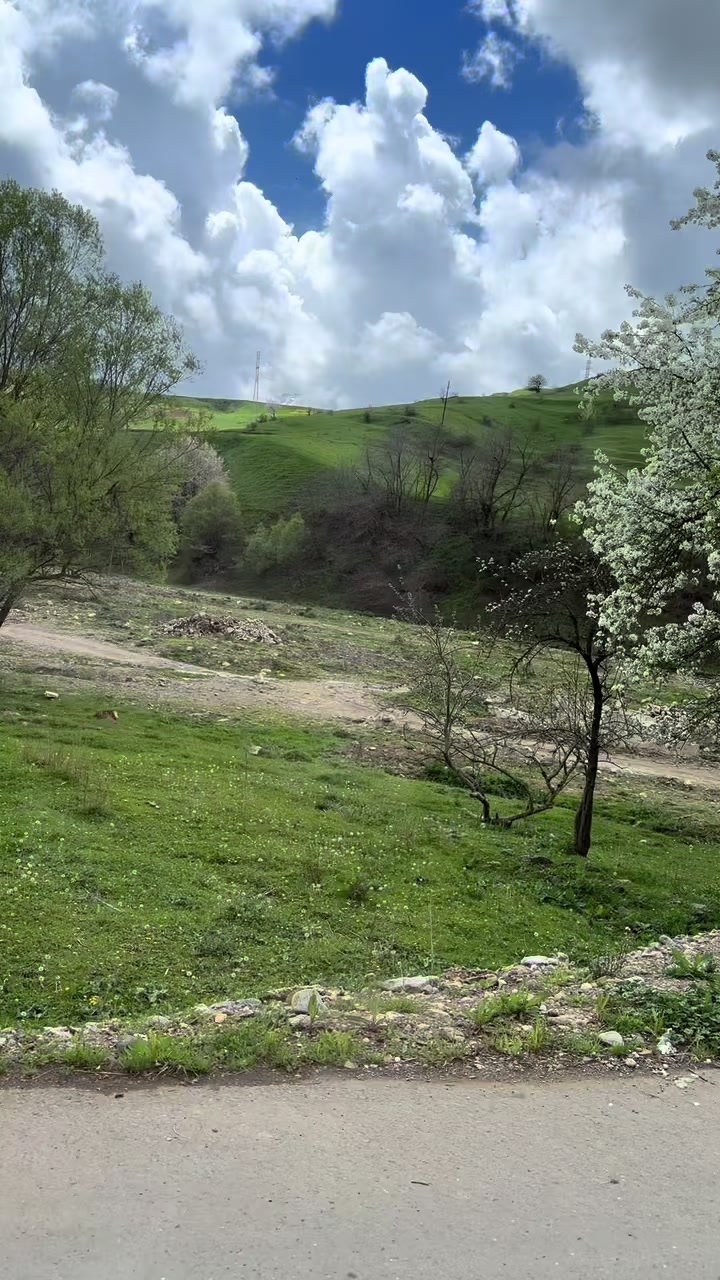@𝐎𝐫𝐤𝐡𝐒𝐚𝐦❤️&zwj;🔥