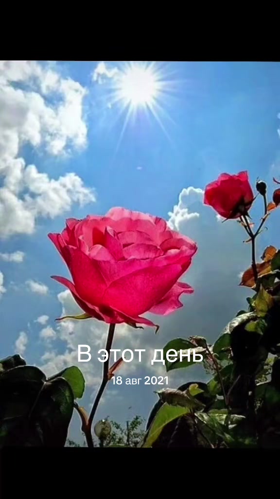 @əlifan