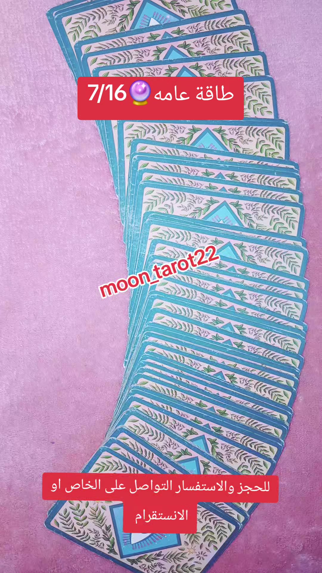 @moon_tarot22