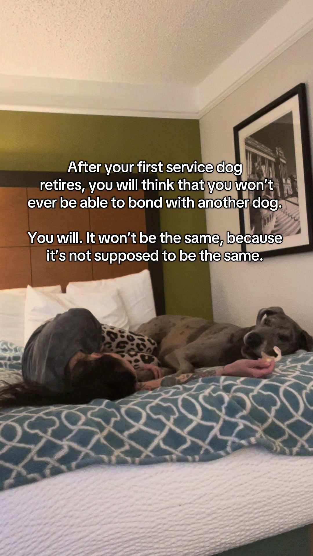 @lex 🐺⛓️
