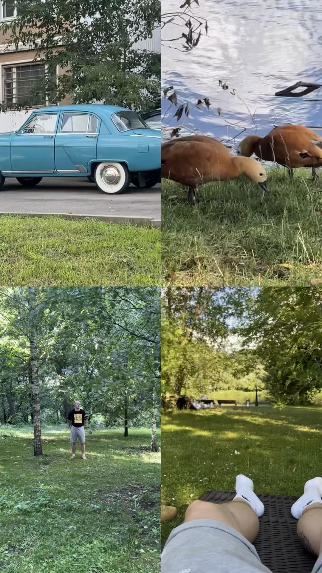@А Миша выйдет?🐻
