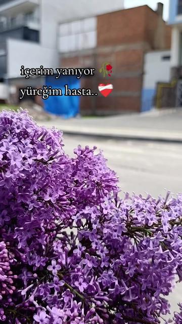 @🌸Ulaş _gelini_58🌸