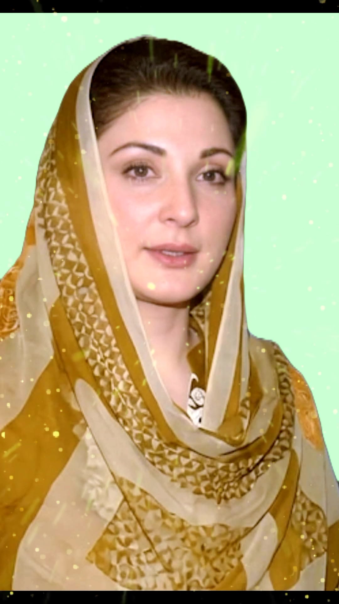 @🇵🇰Maryam Nawaz786🇵🇰
