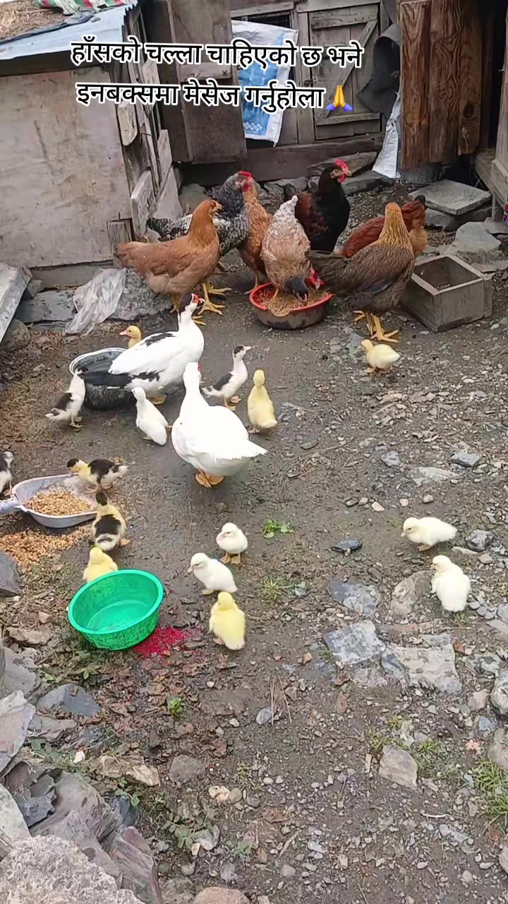 @मिना मगर 💖