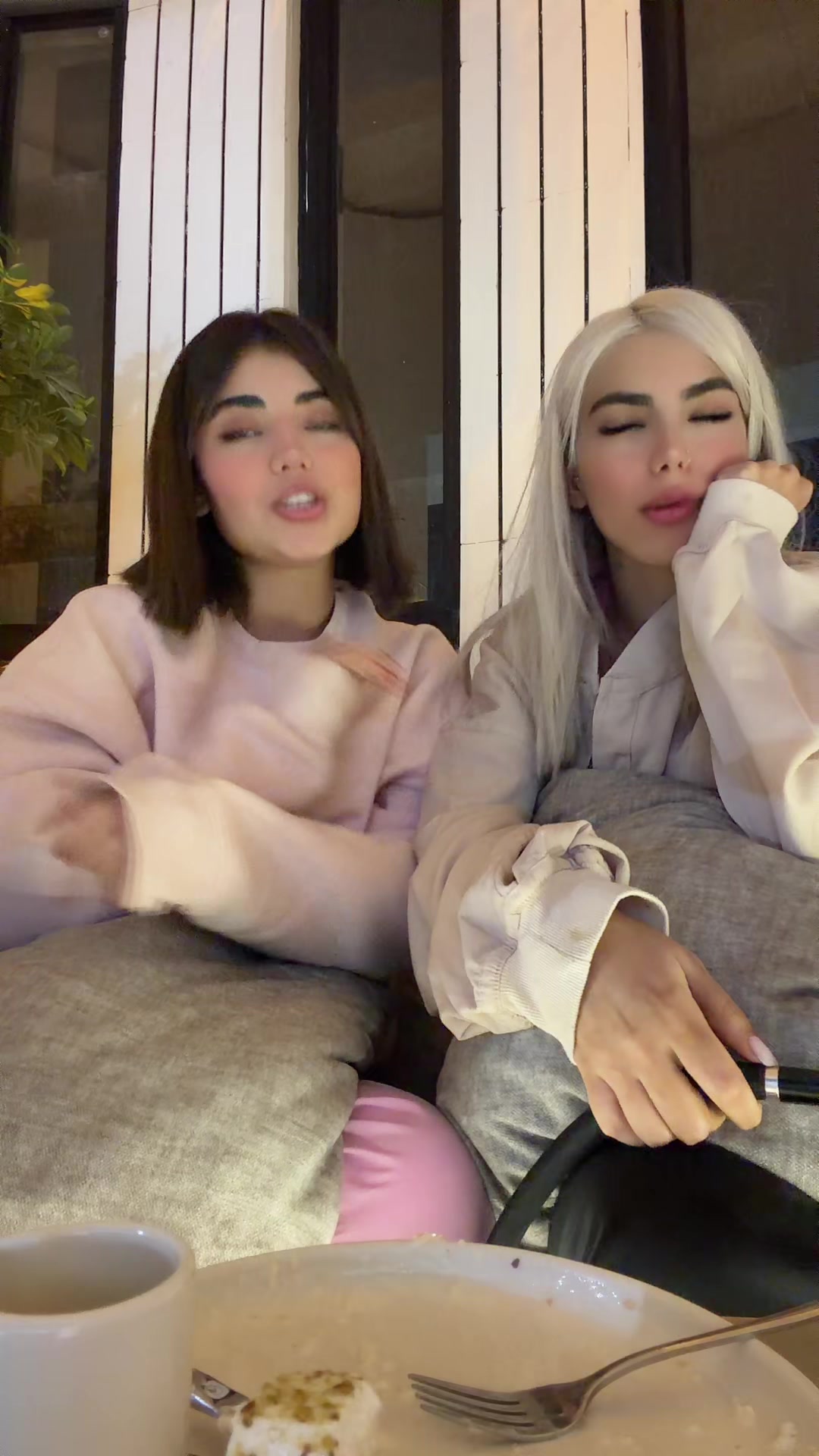 @manashakibi