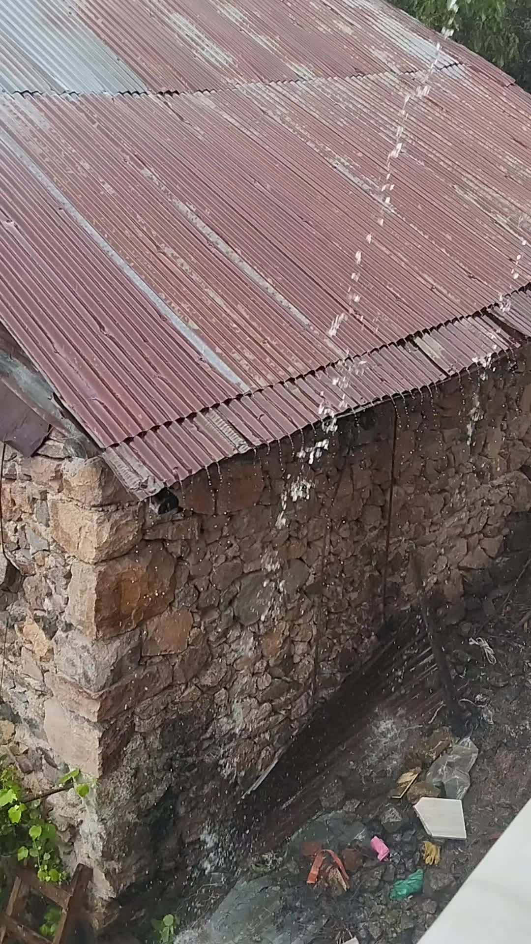 @YoNcA🍀🍀🍀