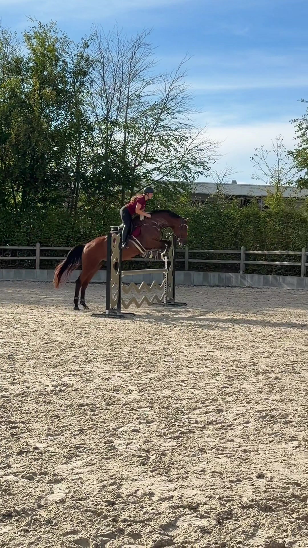@Sarah Philine | Para-Reitsport
