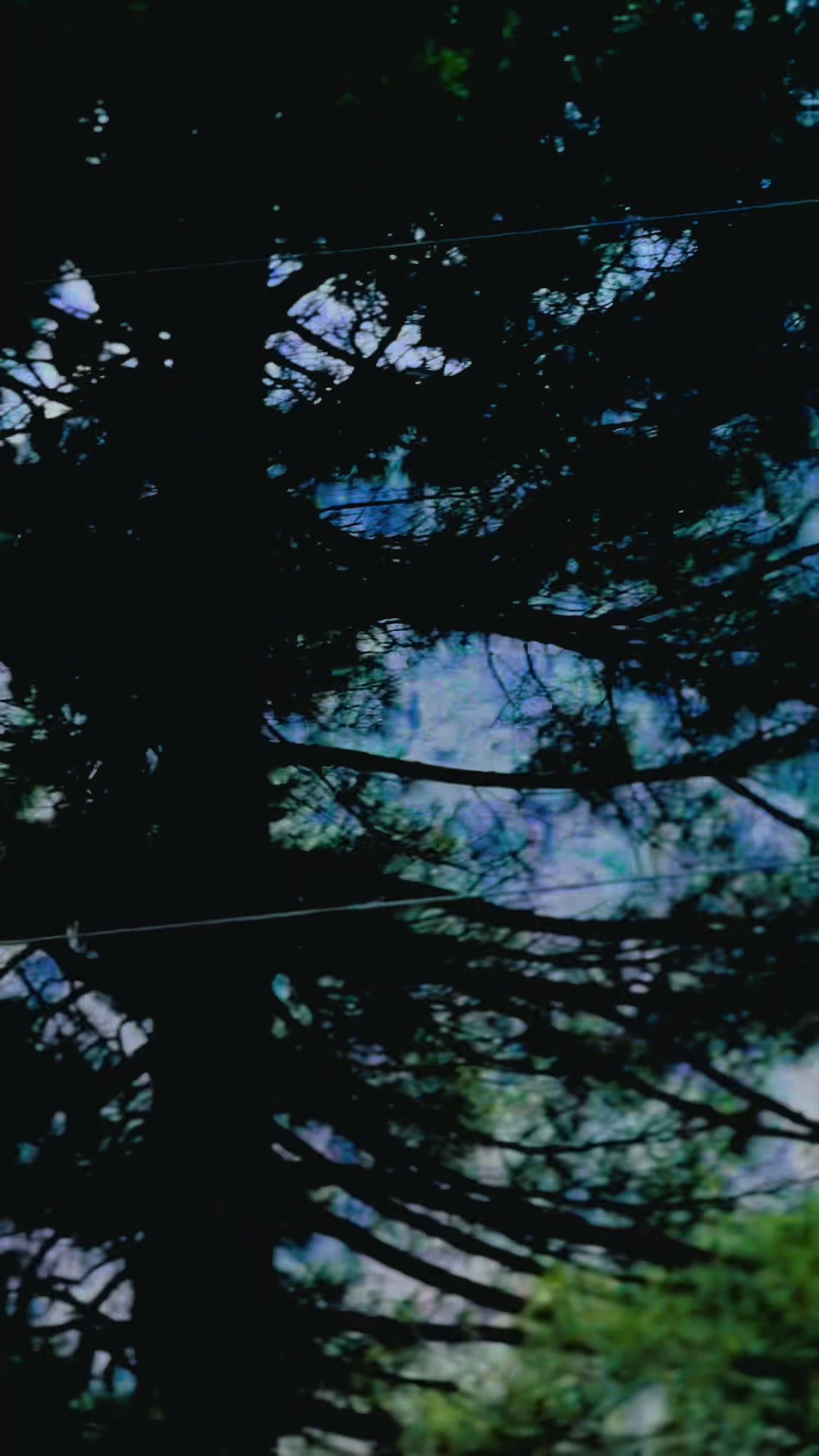 @ℙℛⅈℕℂℰ❝✧𝐍&alpha;𝐢Ŋ𝐢💘❀
