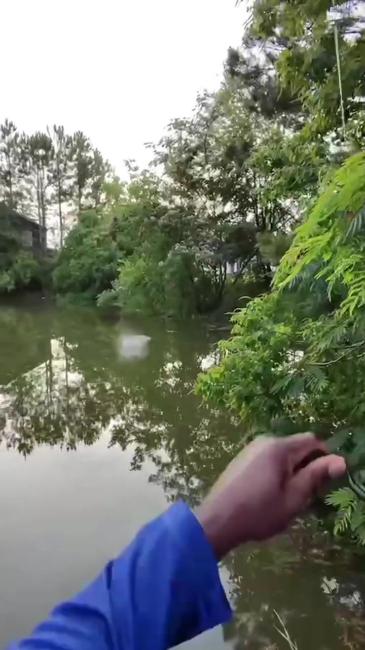 @Orange.Fishing