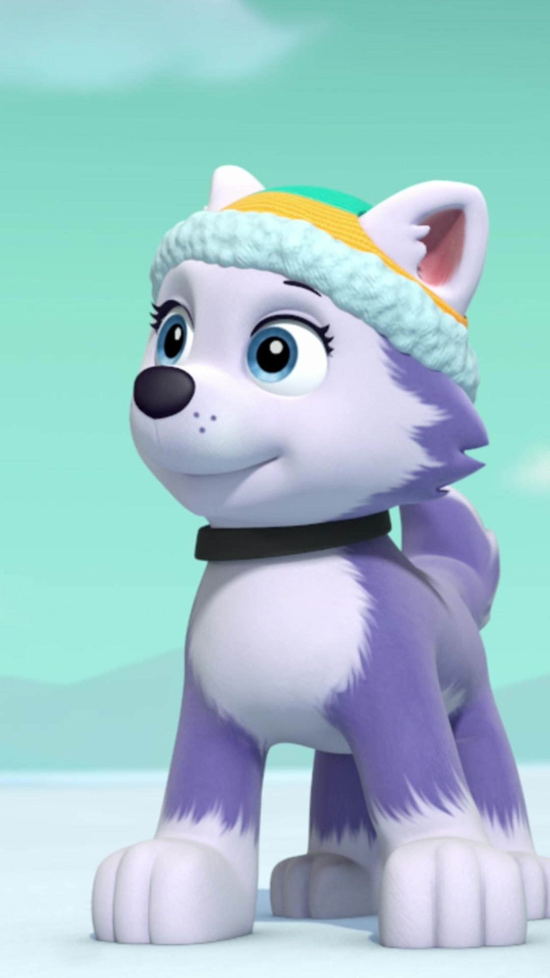@pawpatrol