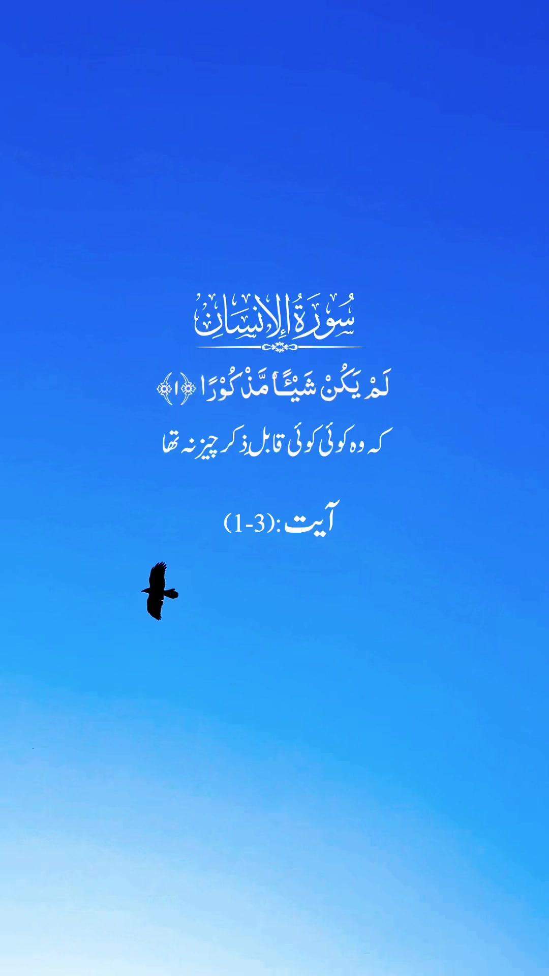 @noorayyeee