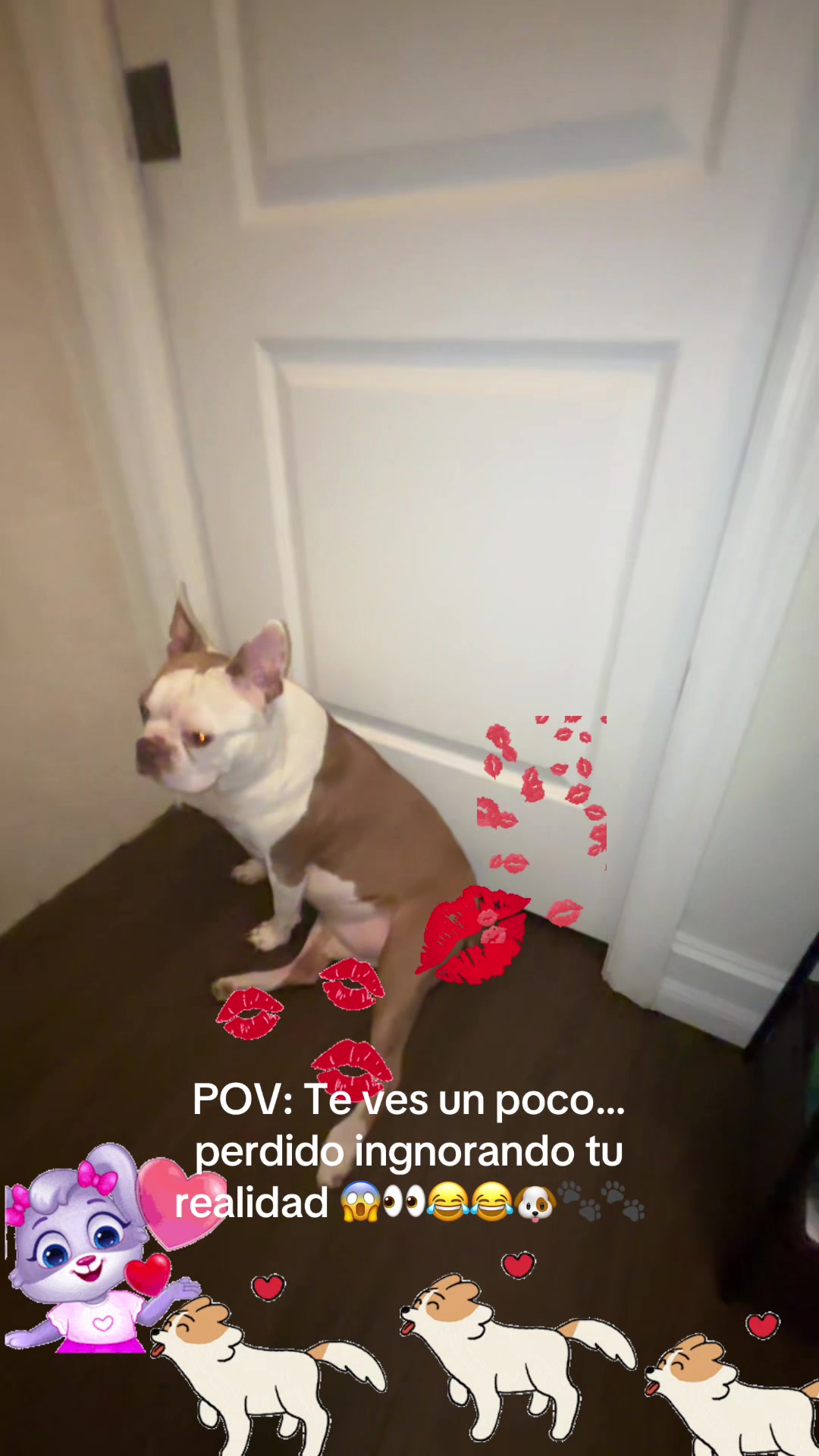@los3huevertos
