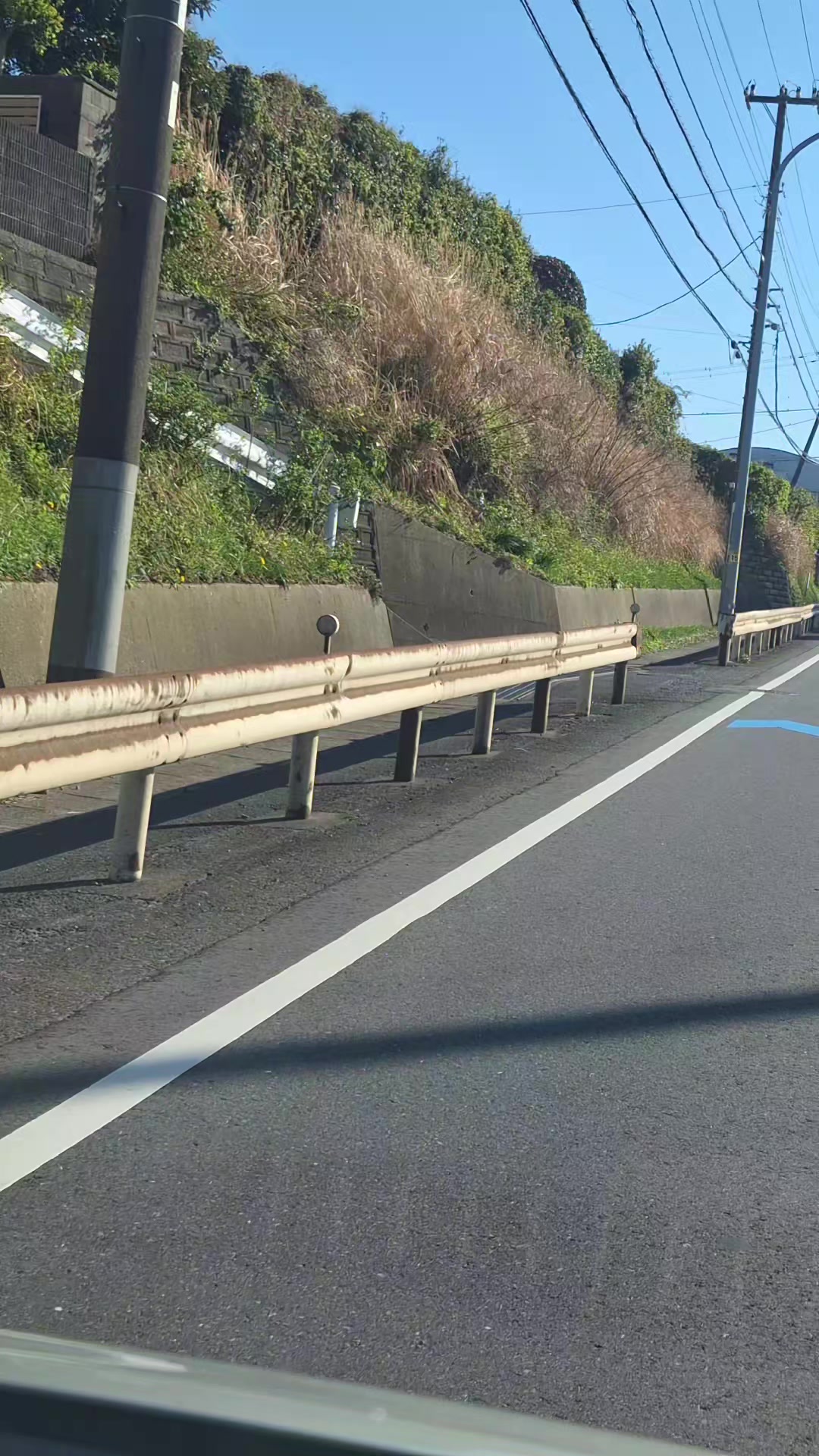 @衝撃目撃ニキは見た