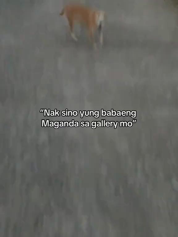 @Alexander Corpuz