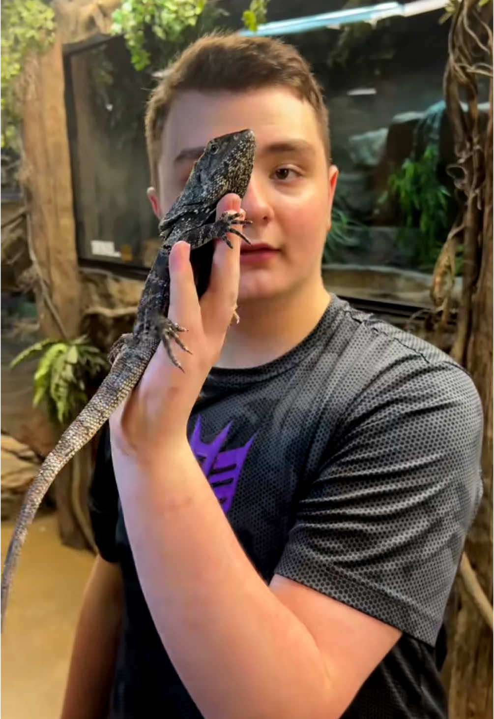 @Jax’s Reptiles!