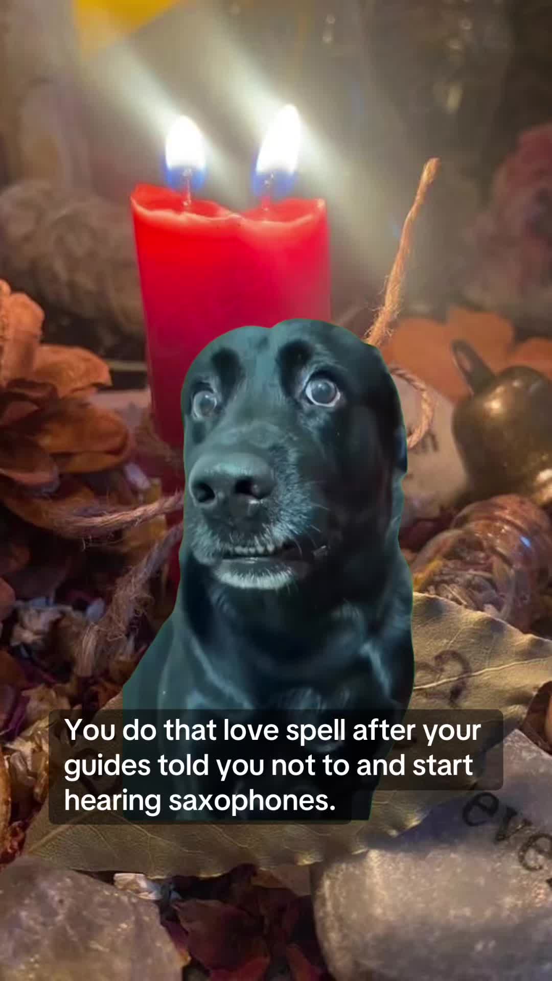 @BloodMoonBruja