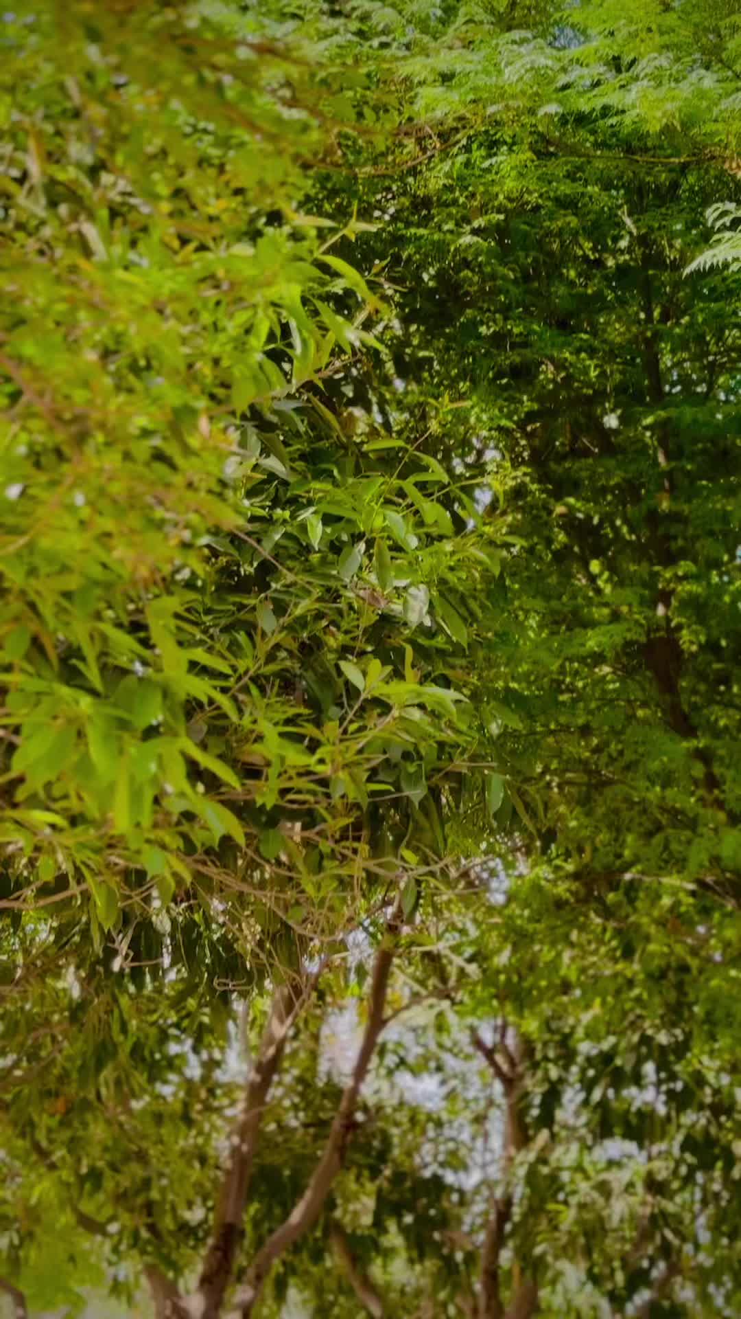 @Rizwan khan 01