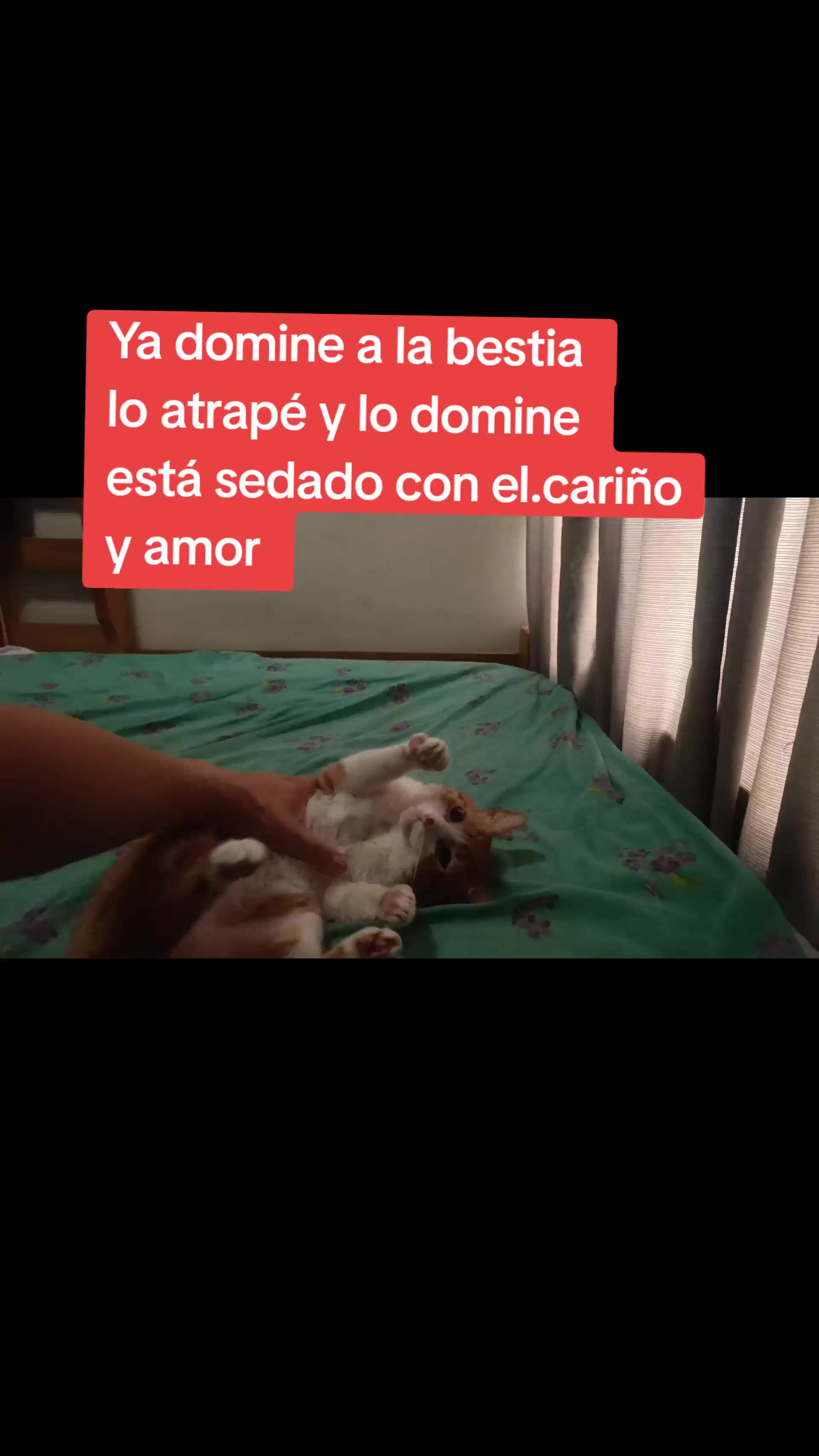 @Raul Alarcón Miranda